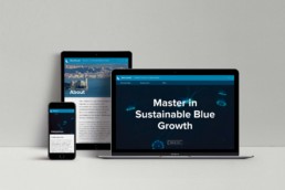 web site – basiq design agency, trieste